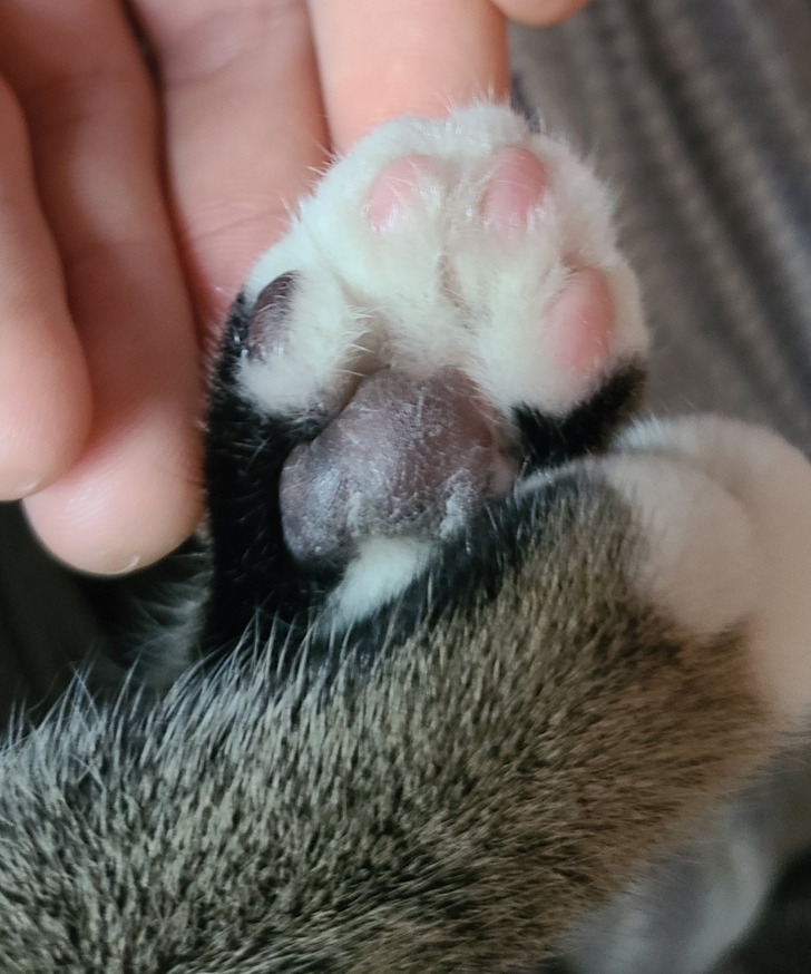 19c1665ca58da5cdd0d4e1b89d