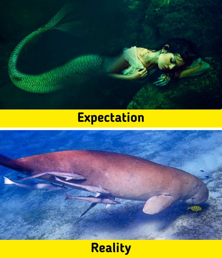 19c32b53d2b7d1e4621b693c86