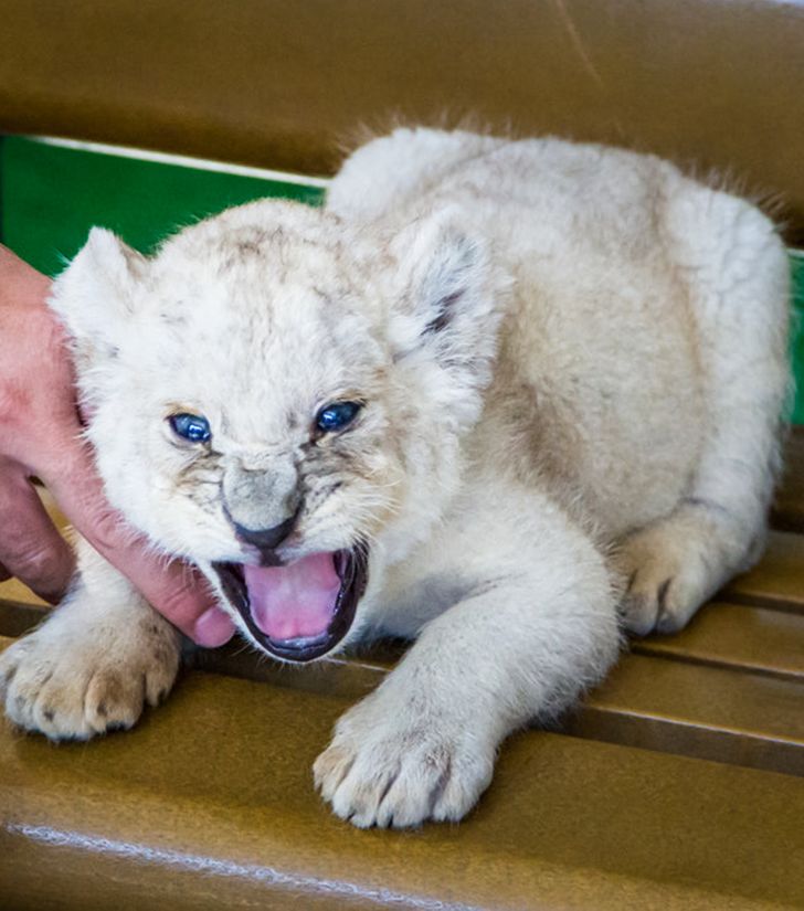 19d8ce5353bb0281501cbb3b4b