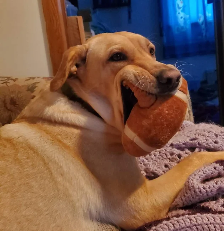 19de635016be11564039041aa0 19de635016be11564039041aa0