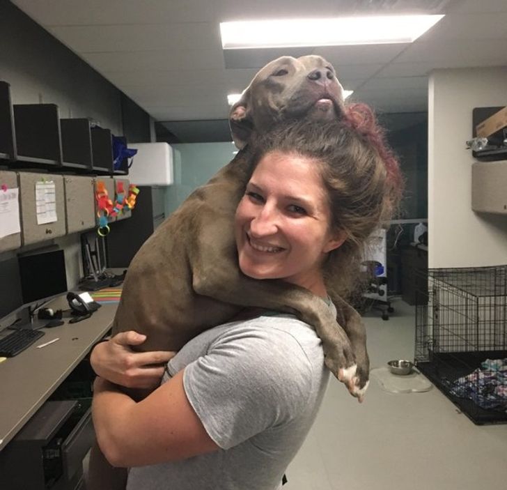 19deb55fd6bf6aba241ce8ae38 19deb55fd6bf6aba241ce8ae38