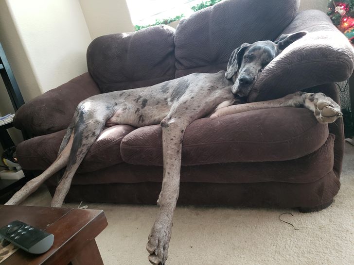 19e1cf50e9a765f093da774f08