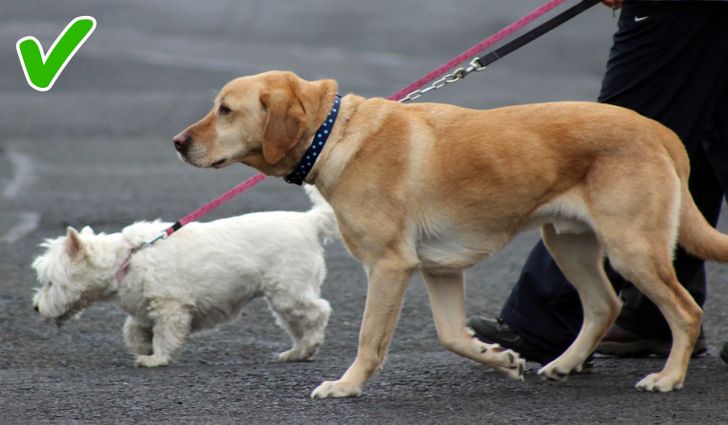 19e5095d0c883eae72477cce53