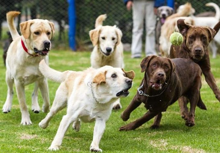 19e5df549896b6592c02701e03