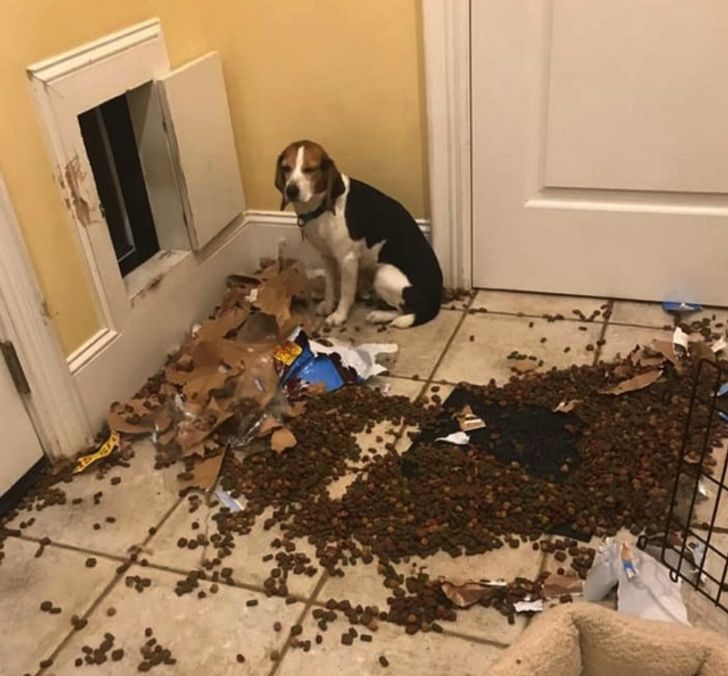 19e72f547099bb5043ff1c0b4a