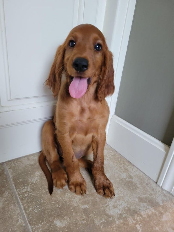 19ec475fe987888ce8c77426ec