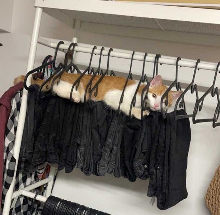 19f3f25695a960543845ffed8e