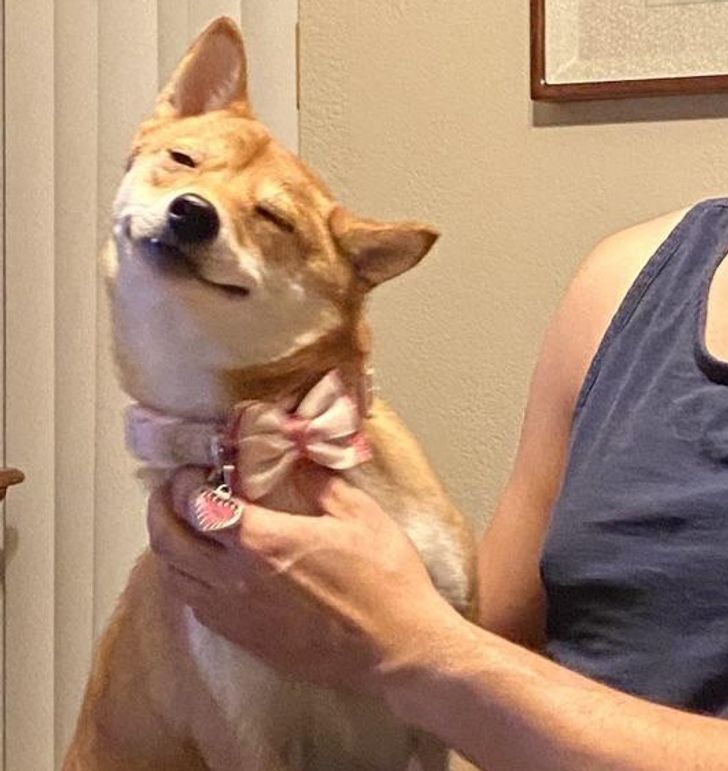 19f518526a8728ed525a42654b