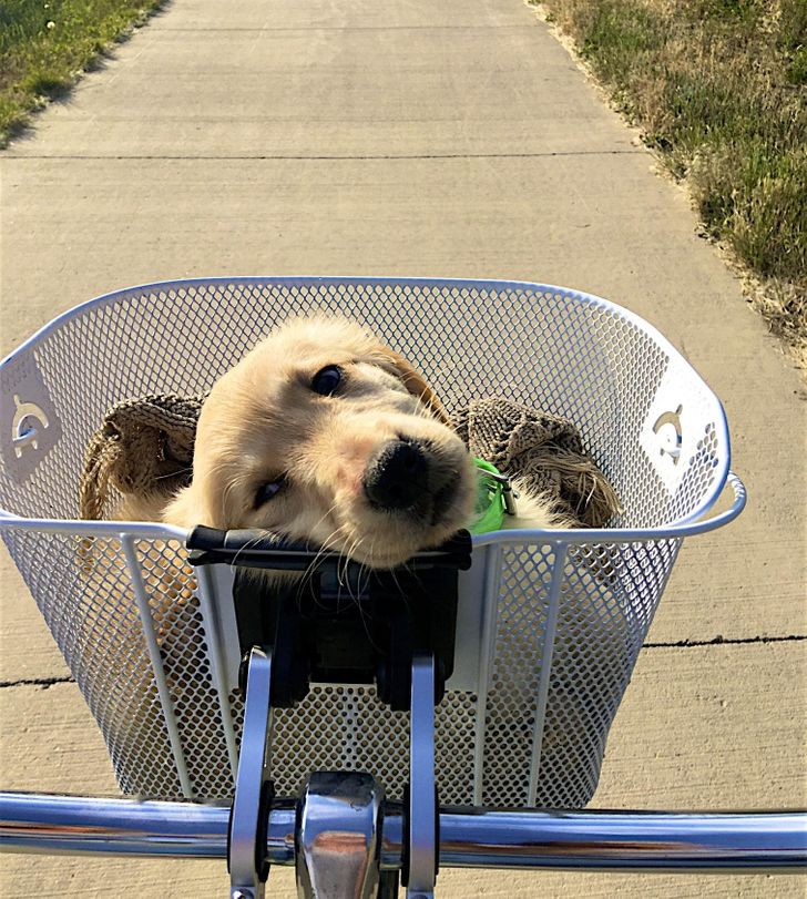 1a0ed9502486fb980ccc91d9a3