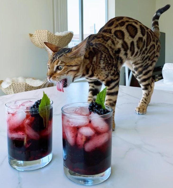 1a11fe5bfdb66fb588817a52ae 1a11fe5bfdb66fb588817a52ae