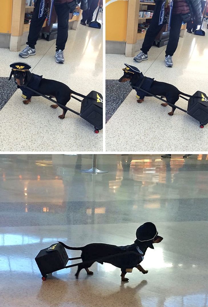 1a13c556b3a6df9989401f1c60