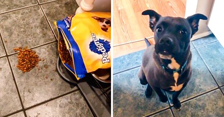 1a1723523eb48f7fb967428f10