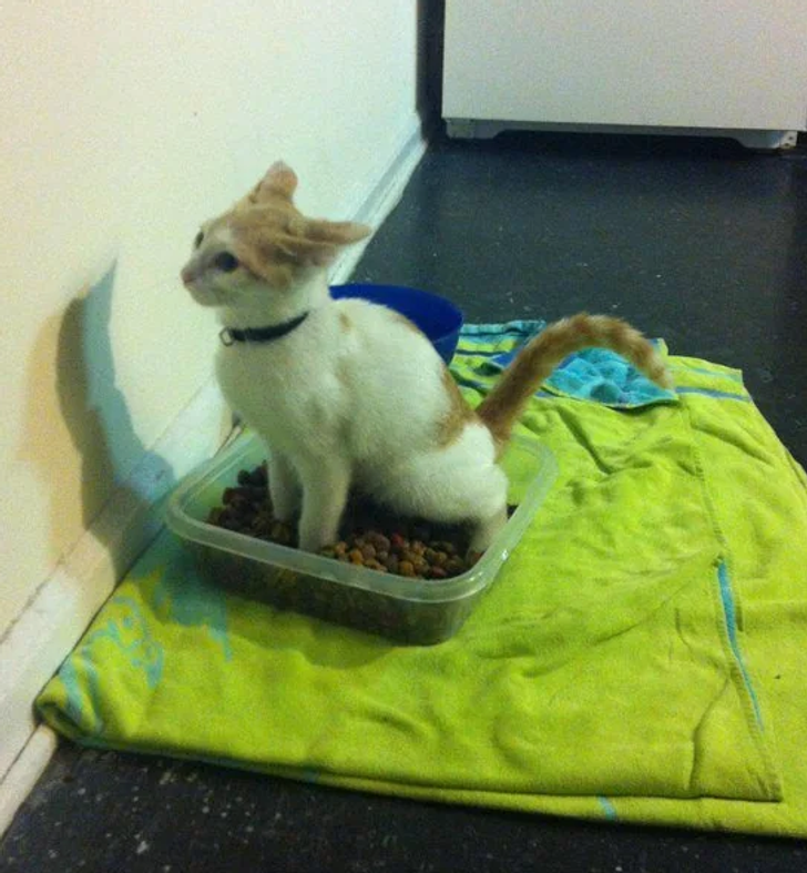 1a19da5ad98ade509e44a54a7a 1a19da5ad98ade509e44a54a7a