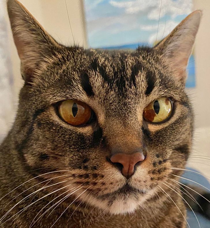 1a1ccc5bc6b6408348077d9679