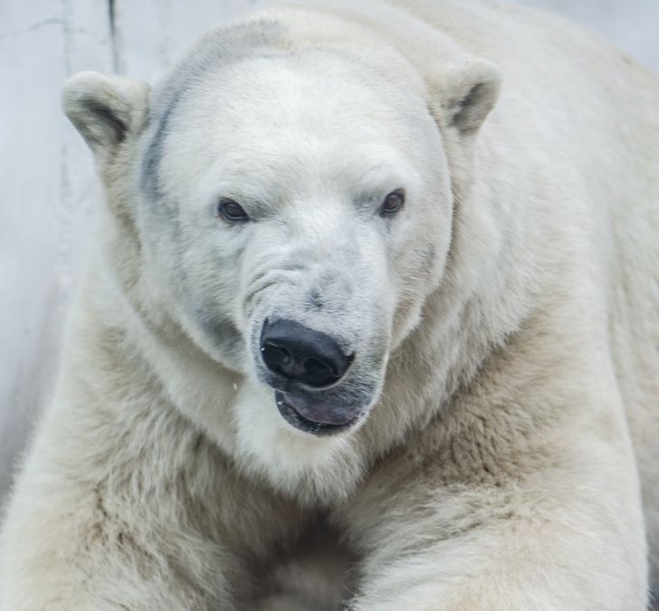 1a24e55d4f8486b083f344ef07