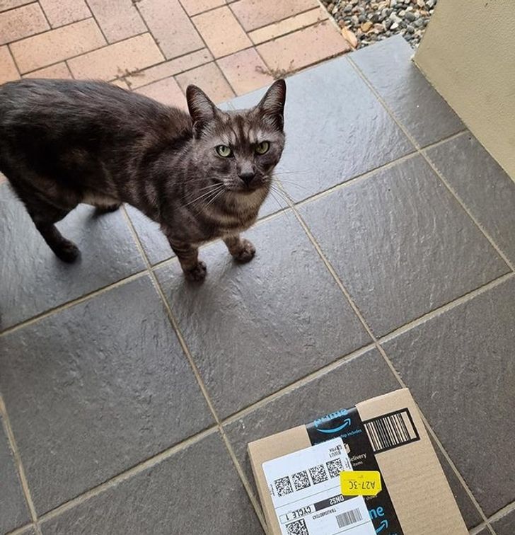 1a2eb254818e3de07640faf39d 1a2eb254818e3de07640faf39d