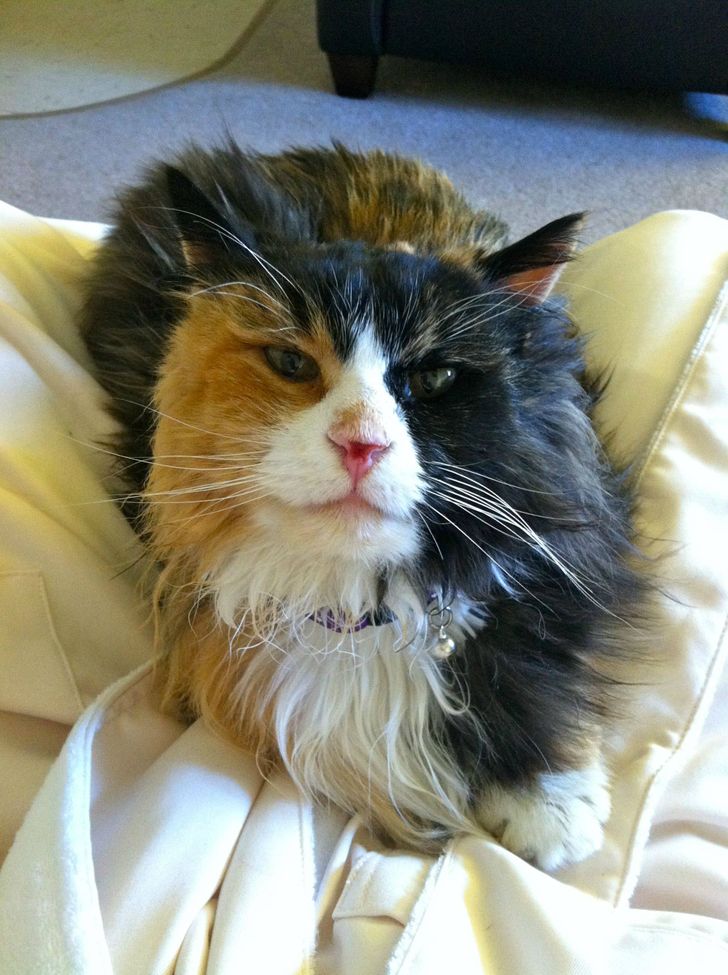 1a3ee6513c913d096b87c66ef2