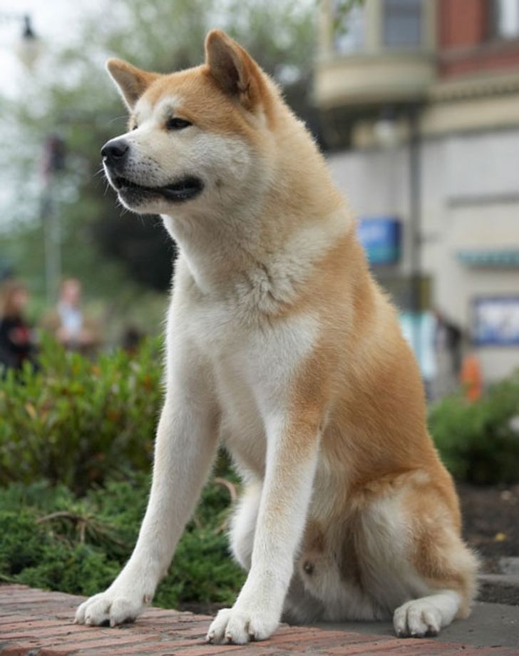 1a405159e48a1232c3288e16d1