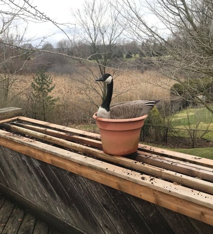 1a480c57a6ae60d1f796b9e294