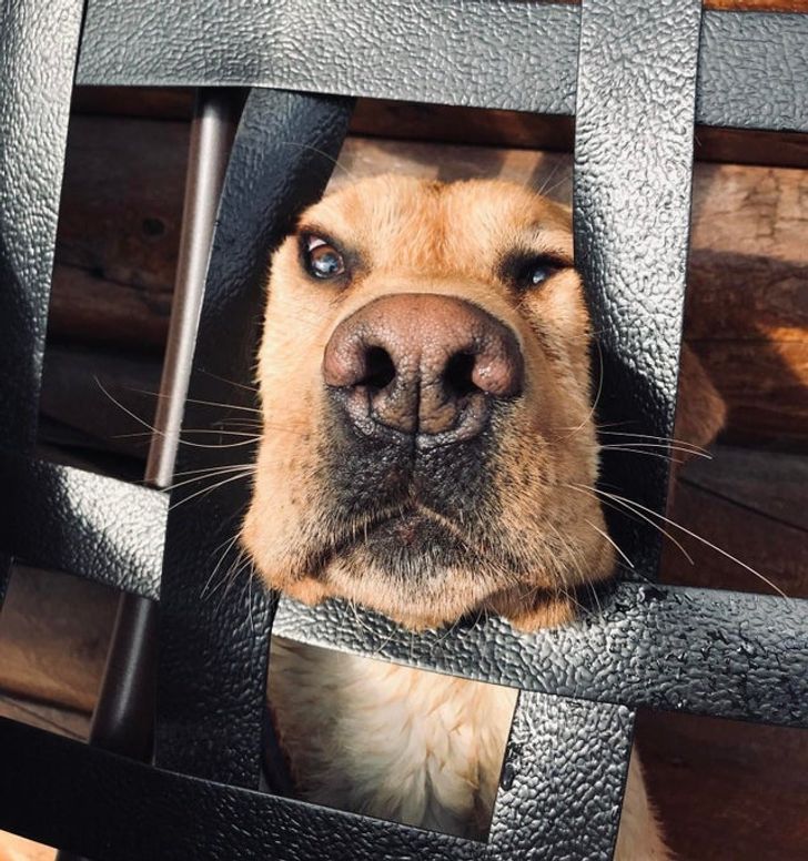 1a4dd059bbb82ad1bc6e083274