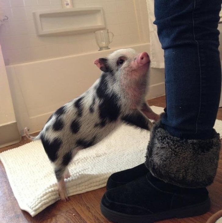 1a546f54228225a588048b8baa