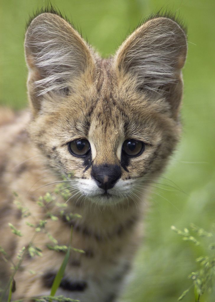 1a60905f2d8863f6926b78967b