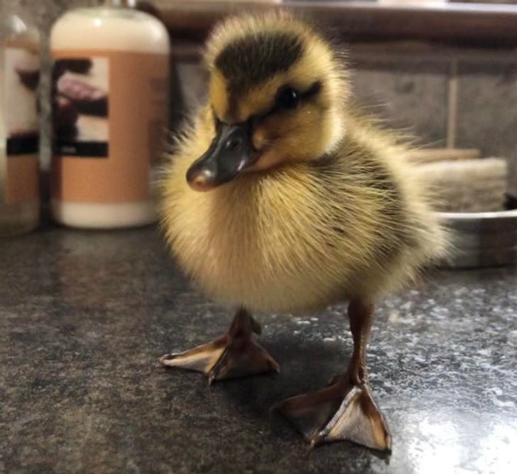 1a61935a889c33a04ec5763cb1