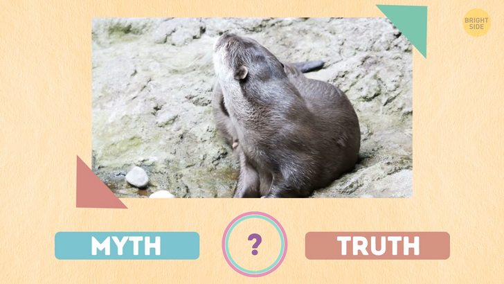 1a6cc25fb68a8509bc7e98f752