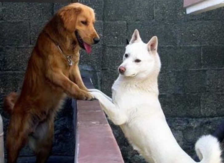 1a6e6750f887d1a874c12d1439