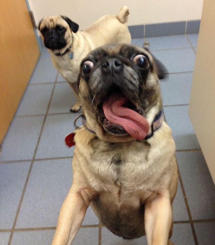 1a723e5688bfaeb283d171bfc7