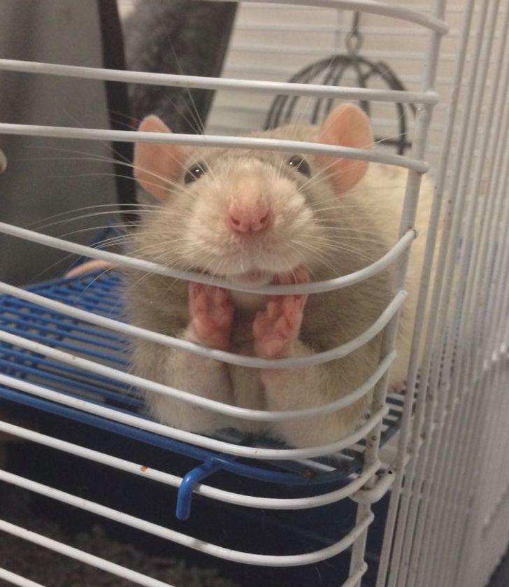 1a74eb5d2bad98c10e0db8c73b