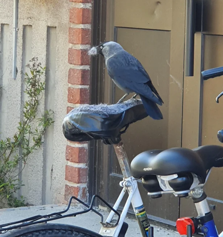 1a782a5c35aebccc7c5f181b85