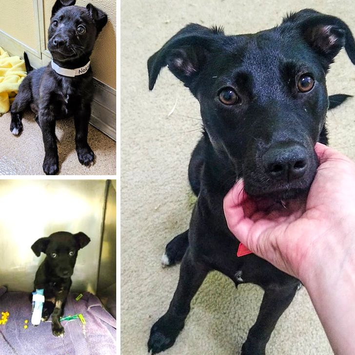 1a7cec5b339368856750f9ec15