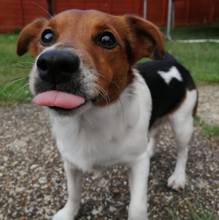 1a83a05f56a0e06a73c1ef2750