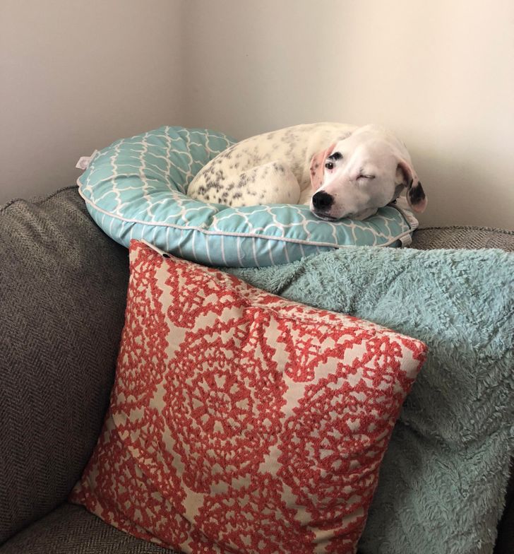 1a86055c6aad3eee9cf110da90 1a86055c6aad3eee9cf110da90