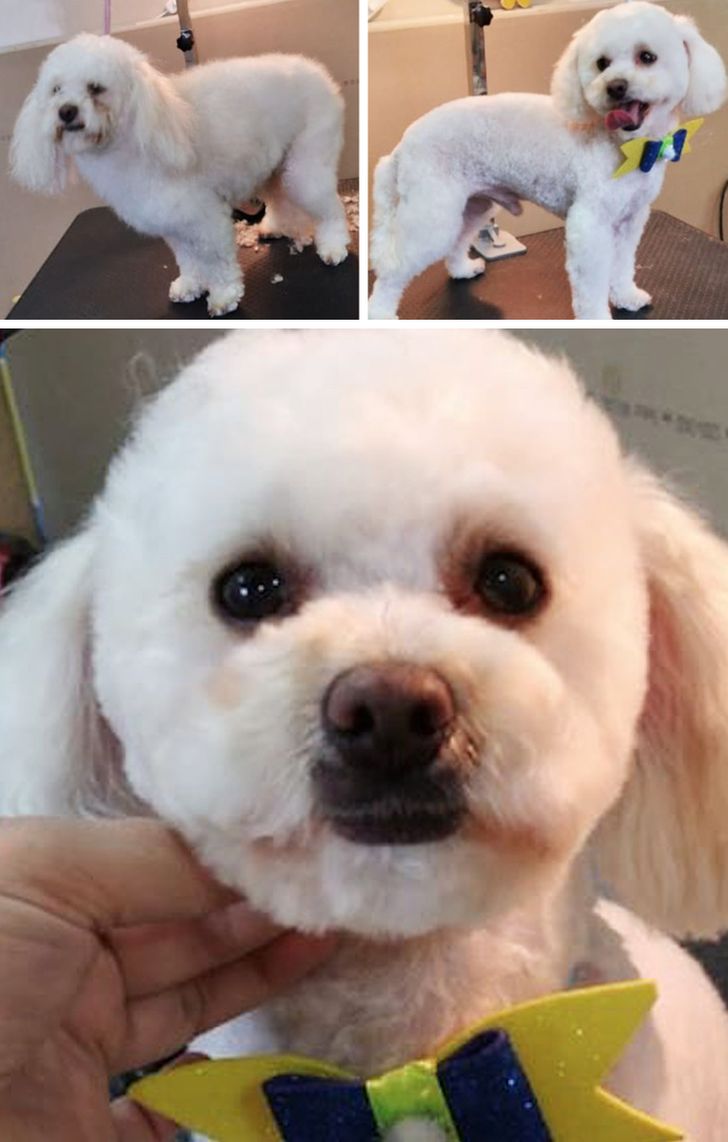 1a8b835202af27a75be244c55e