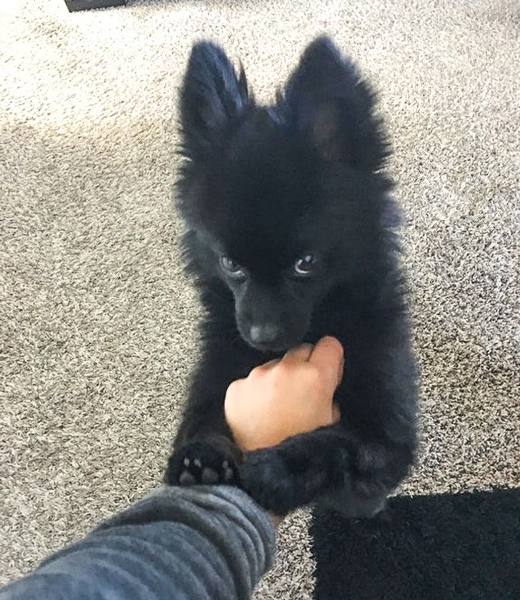 1a8d0f5983ae02ed63a7de7bd7