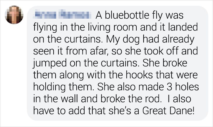 1a8fa55978ae017d4e0708a95c