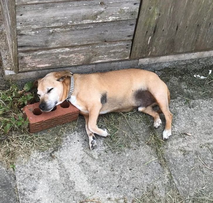 1a9895588ab29b5bb8f3716705