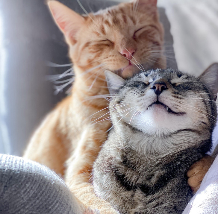 1a99325991a8536a088526f388