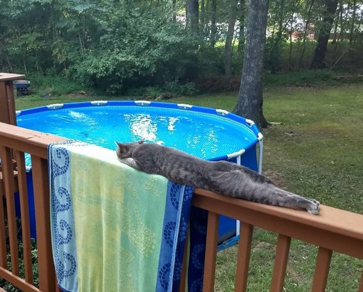 1a99555847847ce5e6089ecd0a