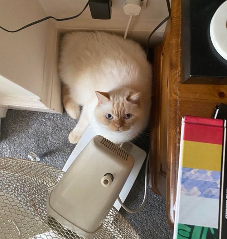 1a9e51579cbc958c6a82a5fd12