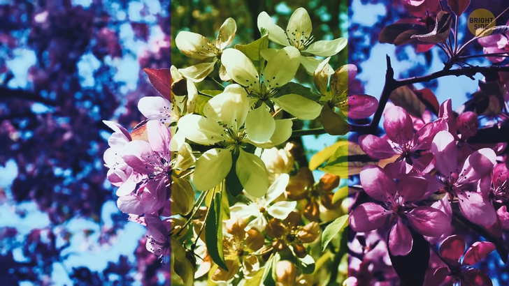 1a9f1452dc8f8ab7a45624a52f