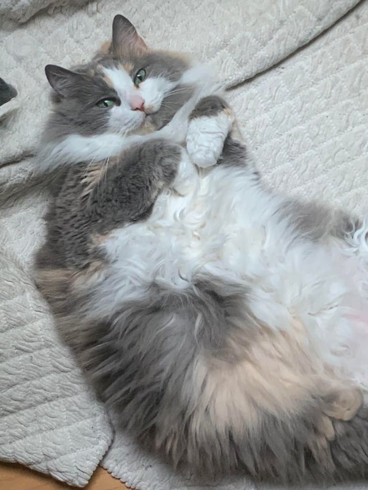 1aaa1c552b9afdc70ae35c7c15