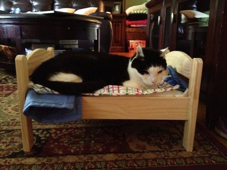 1aacf15366bc3cb5f5e834f2ca 1aacf15366bc3cb5f5e834f2ca