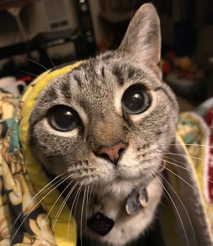 1ab453557a9796c0dd14744dca