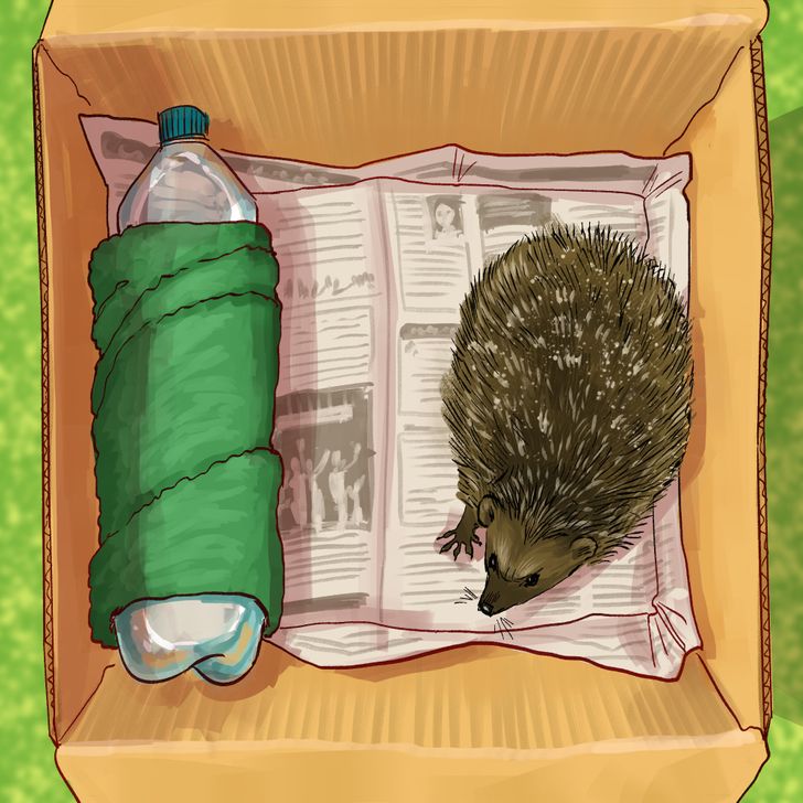 1ab97c5ac7b09c478b4a818dcf