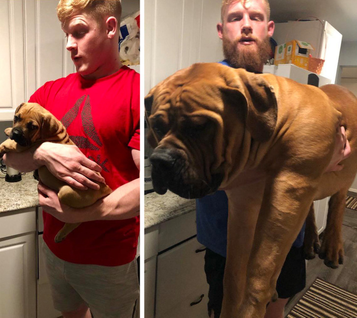 1ab990509d860800d6b7298507