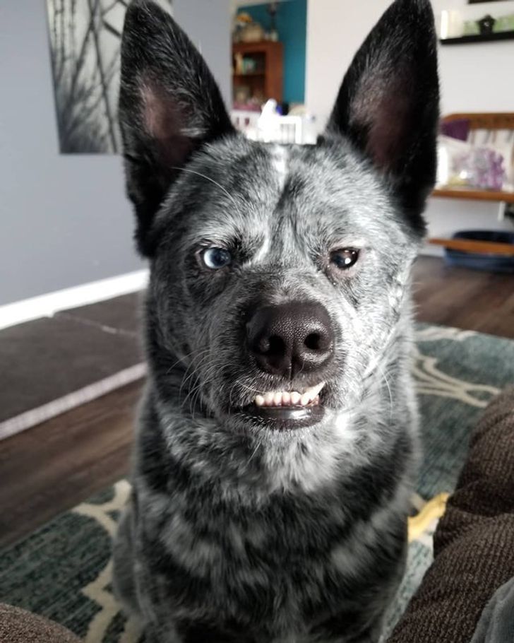 1aba5a59e58388416b1cff91d7