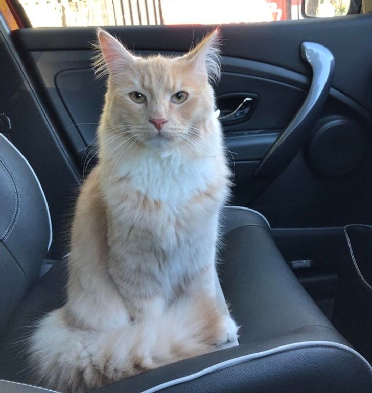 1abfaa52c89e13743de796b4b9